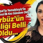 آیدوغان تمل Aydoğan Temel سایت ترکنما