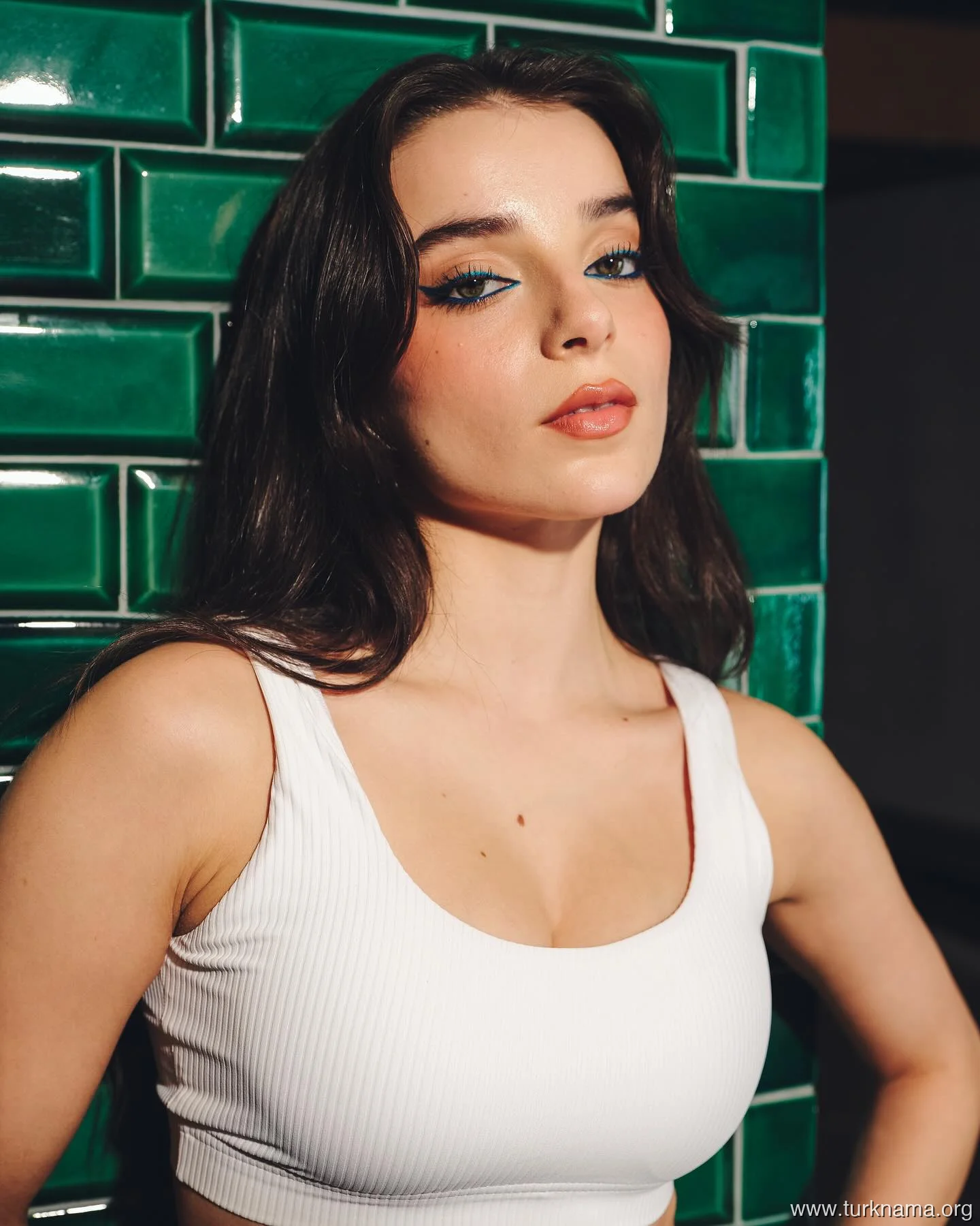 سریال Anne Yarısı