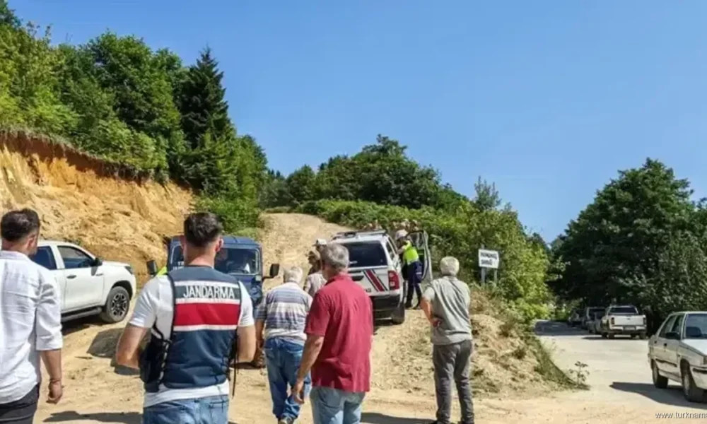 سقوط هلی کوپتر گیرسون Giresun سایت ترکنما