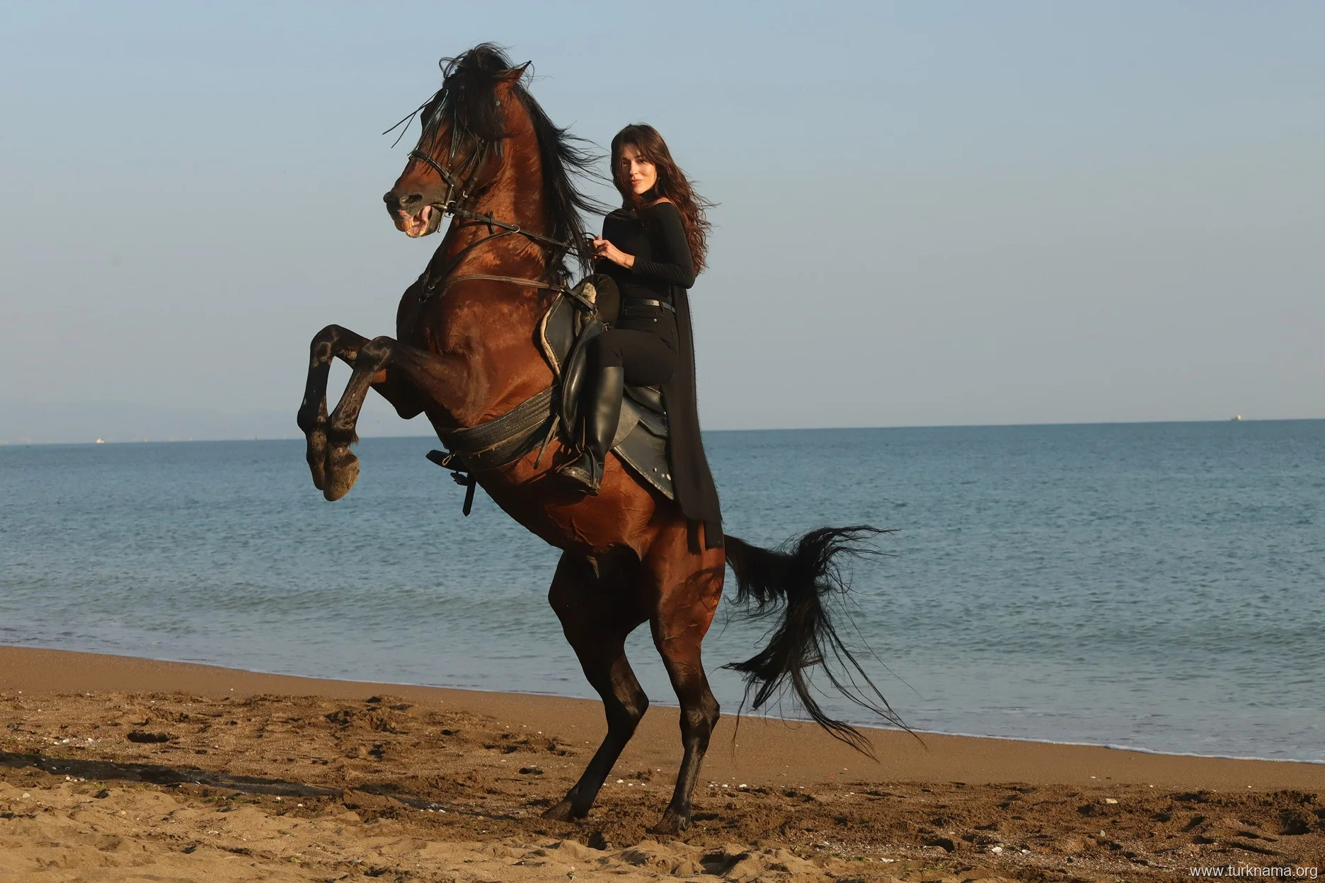 عکس خبر
