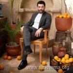 هلیل بابور سریال سایت ترکنما