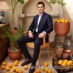 برتان اصلانی سریال سایت ترکنما