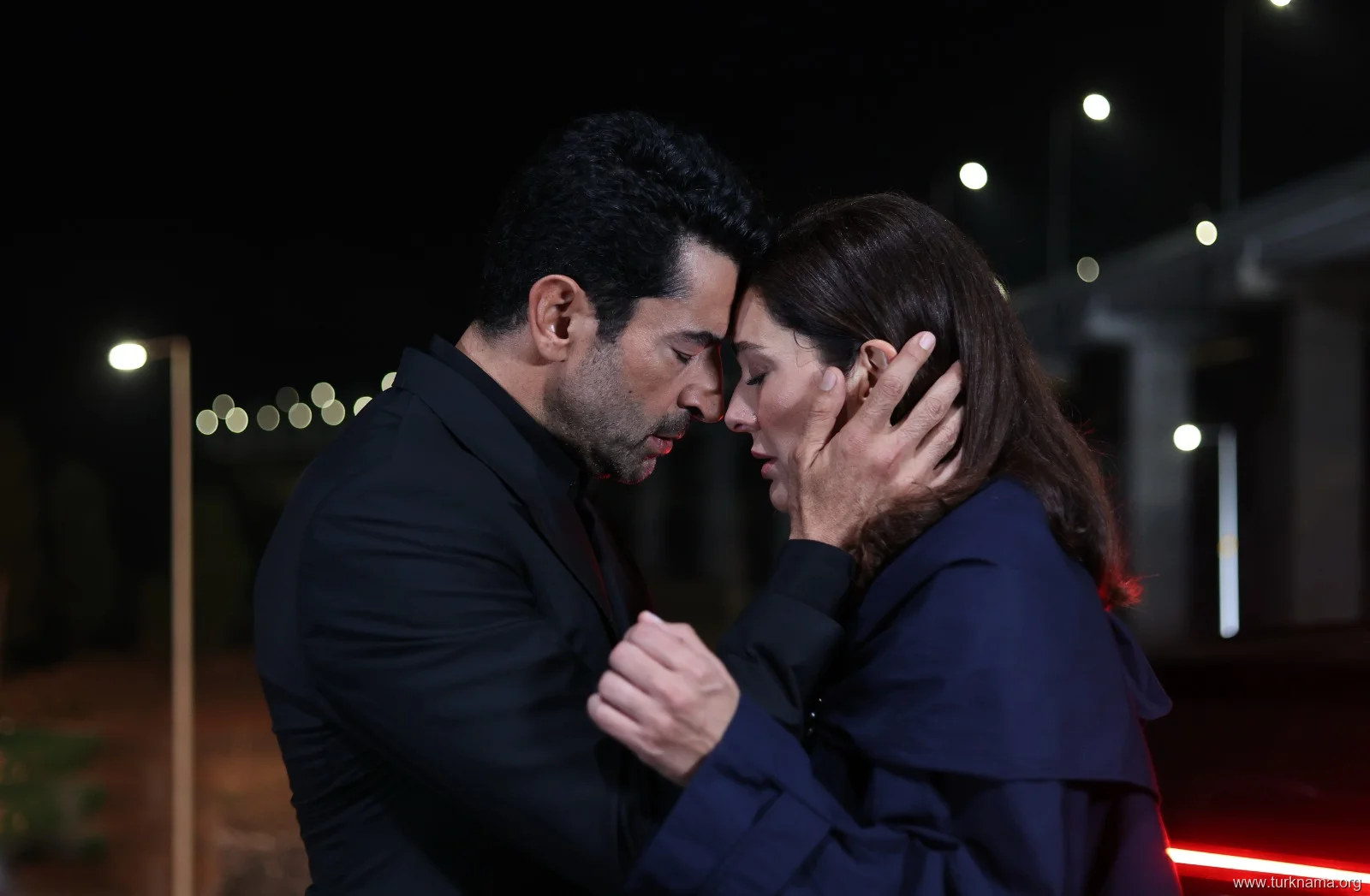 سریال Anne Yarısı